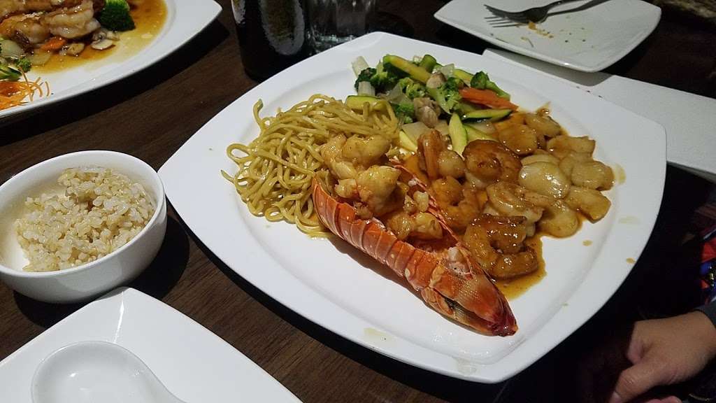 Ocean Asian Cuisine | 288 Egg Harbor Rd STE #8, Sewell, NJ 08080 | Phone: (856) 863-3688