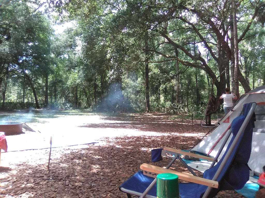 Hampton Tract/Green Swamp Wilderness Preserve | 14440 Rockridge Rd, Polk City, FL 33868, USA | Phone: (800) 423-1476