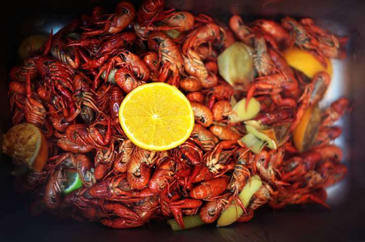 MOC Crawfish | 2741 Lone Tree Way, Antioch, CA 94509, USA | Phone: (925) 470-3422