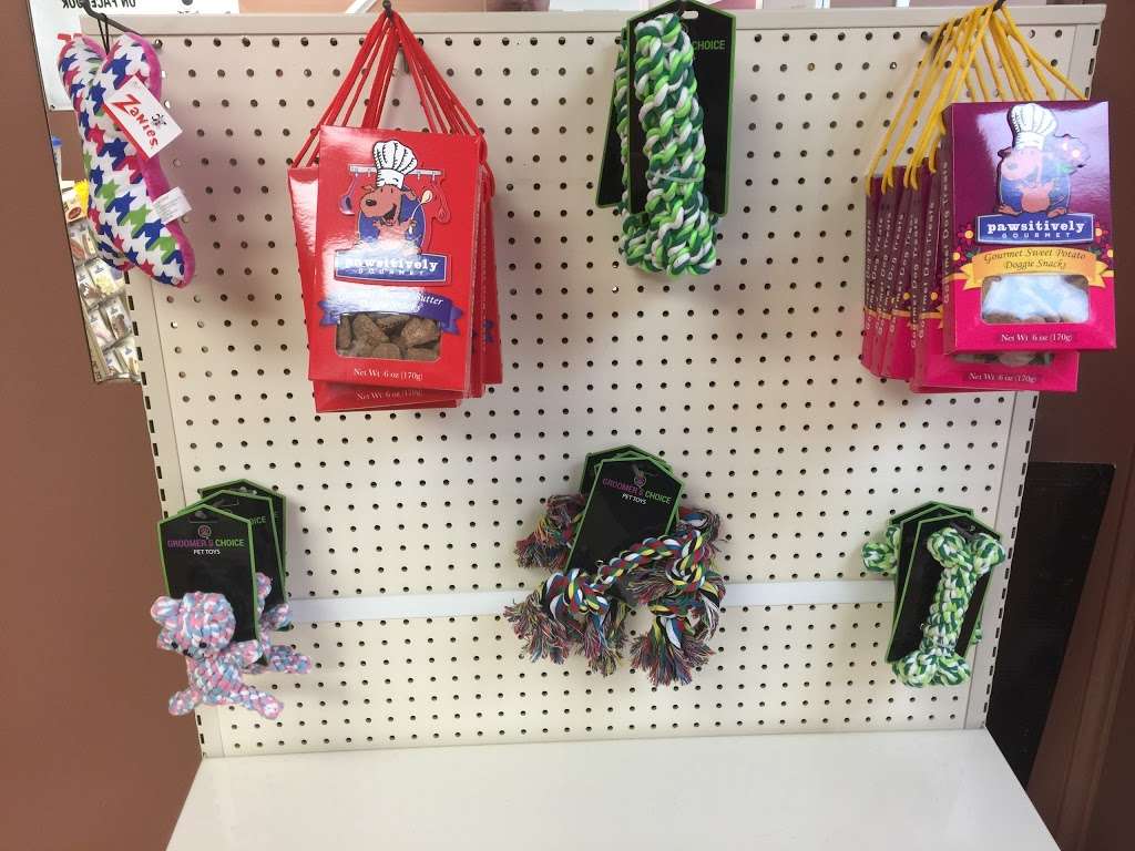 Doggy Spa | 3707 Garrett Rd, Drexel Hill, PA 19026, USA | Phone: (610) 622-2424