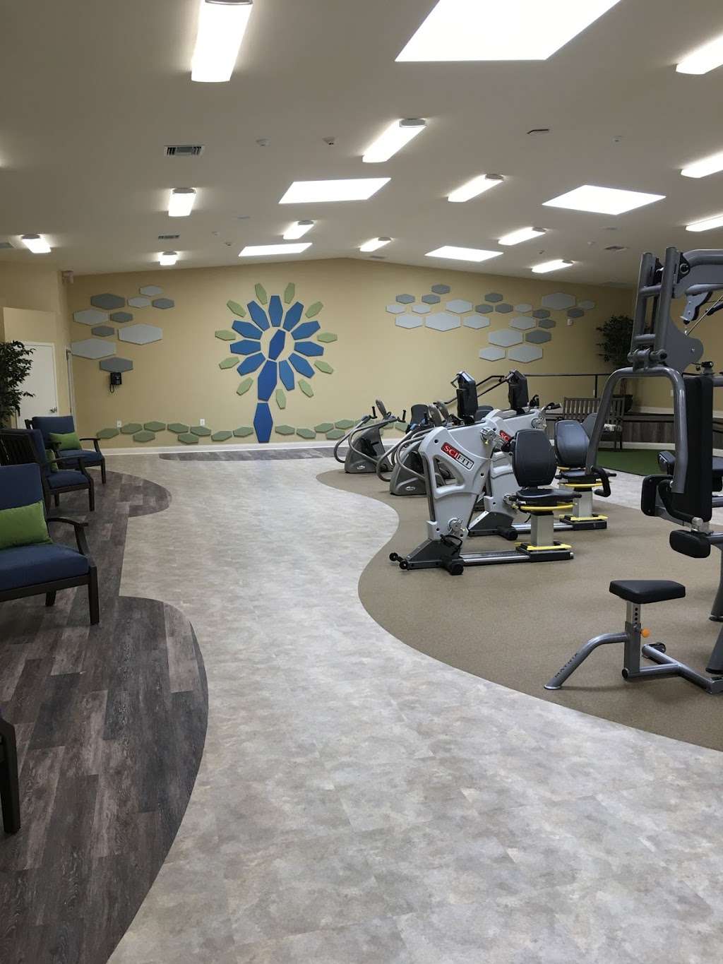 Lake Manassas Health & Rehabilitation Center | 14935 Holly Knoll Ln, Gainesville, VA 20155 | Phone: (703) 743-3999