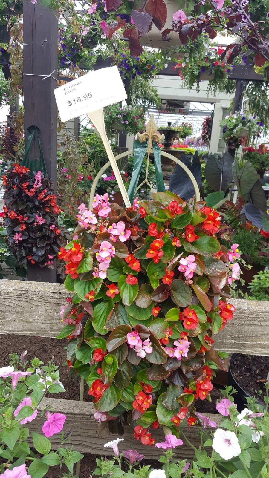 Laurel Grove Florist & Green Houses LLC | 16 High St, Port Jervis, NY 12771, USA | Phone: (845) 856-2713