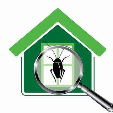 Ambush Pest Solutions INC | 4101 Coral Tree Cir #311, Coconut Creek, FL 33073 | Phone: (954) 304-5853