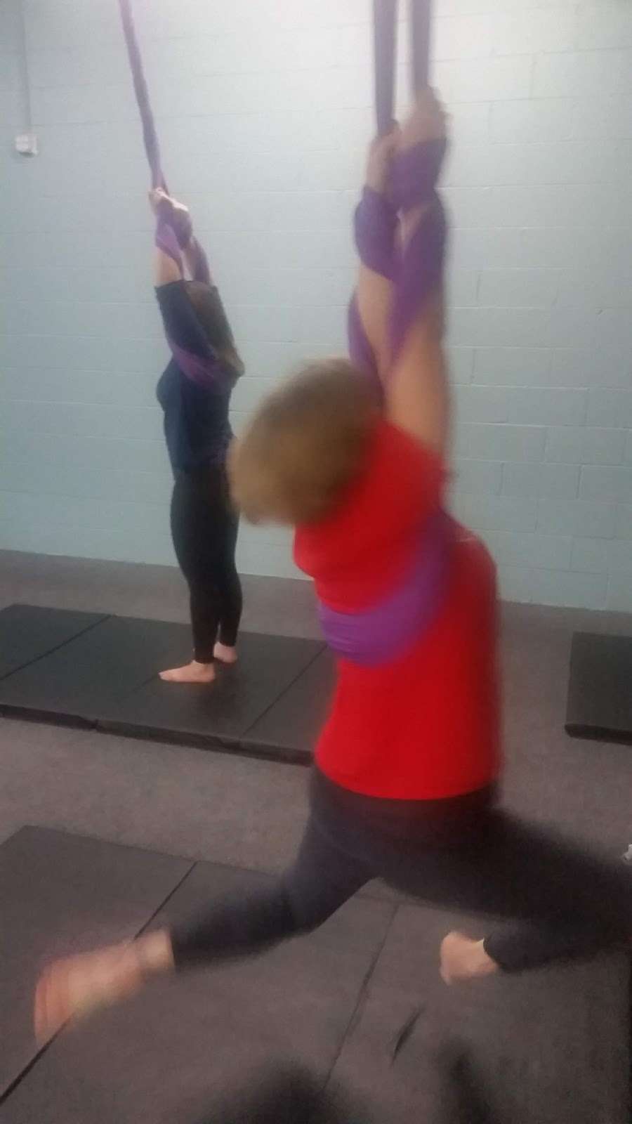 Lotus Aerial Dance & Aerial Yoga | 3240 W Lake Ave, Glenview, IL 60026, USA | Phone: (224) 616-3397