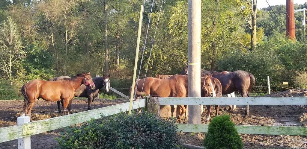 Fernwood Horseback Riding | 5785 Milford Rd, East Stroudsburg, PA 18302 | Phone: (888) 337-6966