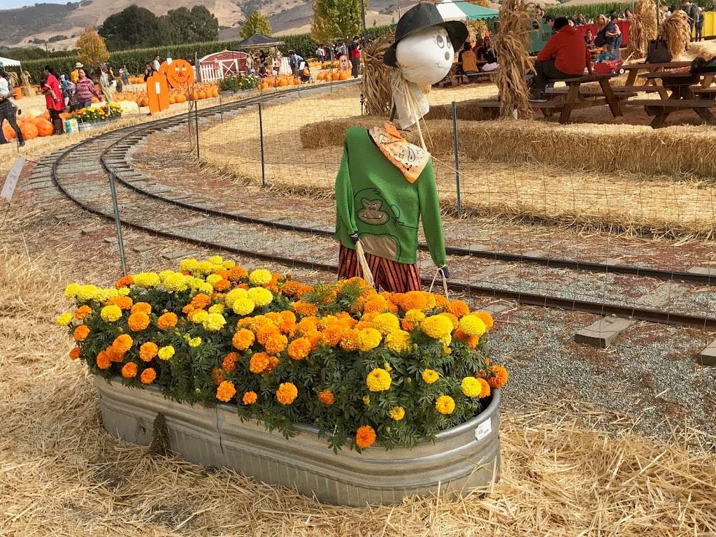 Spina Farms | Santa Teresa Blvd, Morgan Hill, CA 95037, USA | Phone: (408) 763-1093