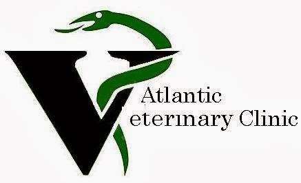 Atlantic Veterinary Clinic | 201 Town Center Blvd, Davenport, FL 33896, USA | Phone: (863) 420-8323