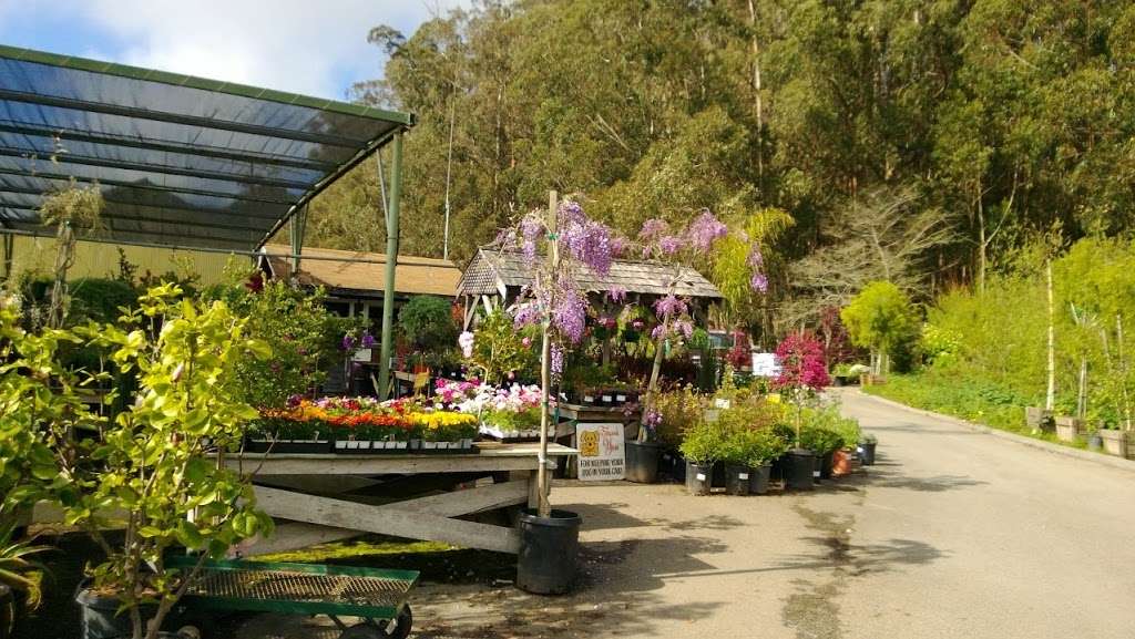 Bongards Treescape Nursery | 12460 San Mateo Rd, Half Moon Bay, CA 94019, USA | Phone: (650) 726-4568