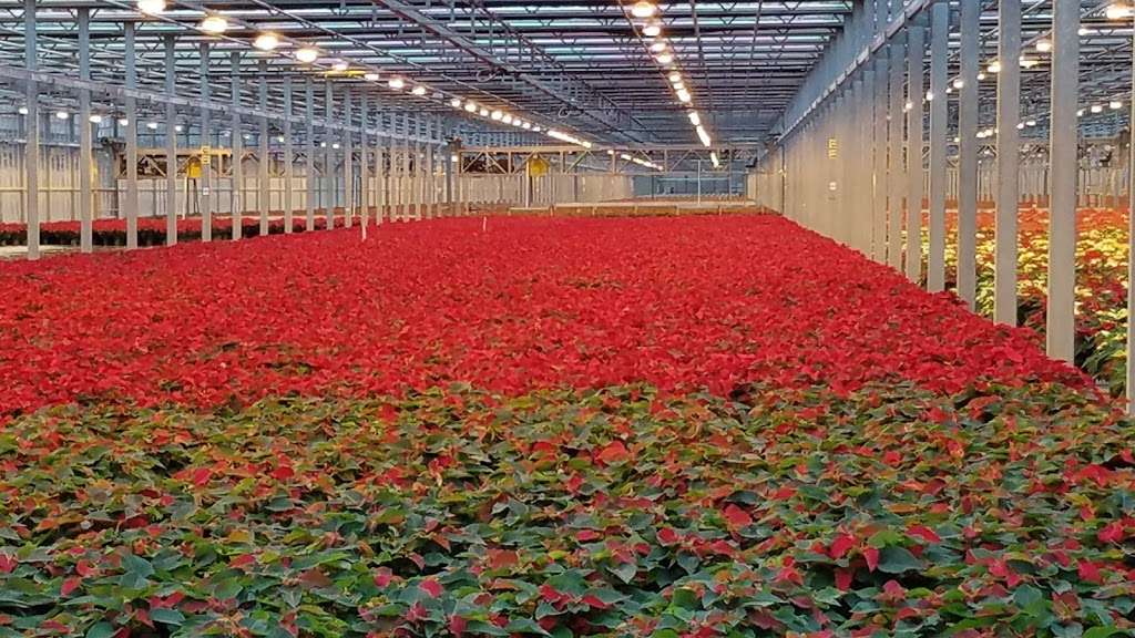 Metrolina Greenhouses | 15, Huntersville, NC 28078, USA