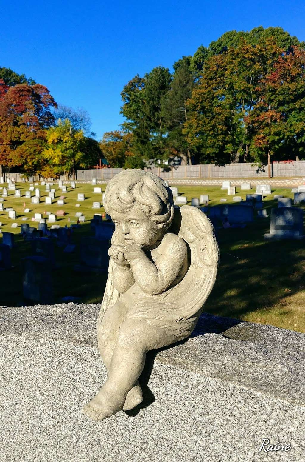 St Vincent Martyr Cemetery | Shunpike Rd & Noe Ave, Madison, NJ 07940 | Phone: (973) 377-4000