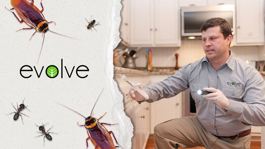 Evolve Pest Control | 4132B Billy Mitchell Dr, Addison, TX 75001, USA | Phone: (469) 498-1860