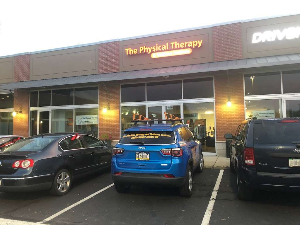 The Physical Therapy & Wellness Institute | 575 Horsham Rd unit b-16, Horsham, PA 19044 | Phone: (215) 394-5893