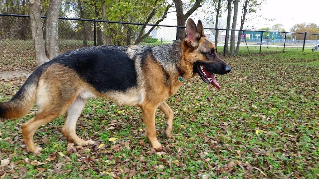 Ella & Friends Dog Park | 500 W 13th St, Deer Park, TX 77536