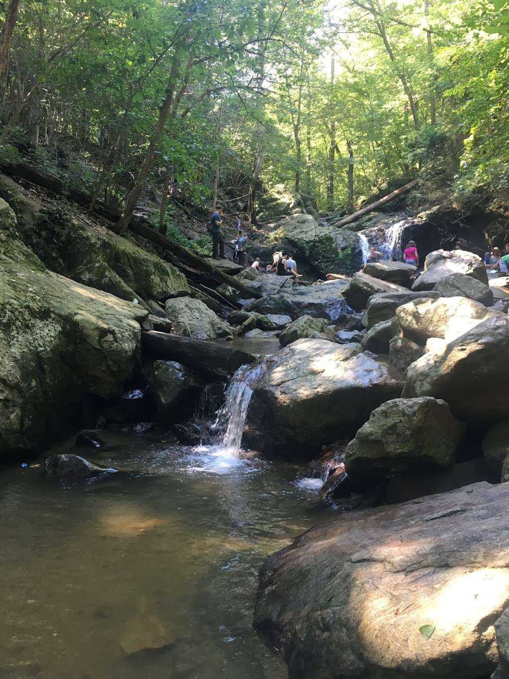 Cascade Falls Loop Trail, | Elkridge, MD 21075, USA