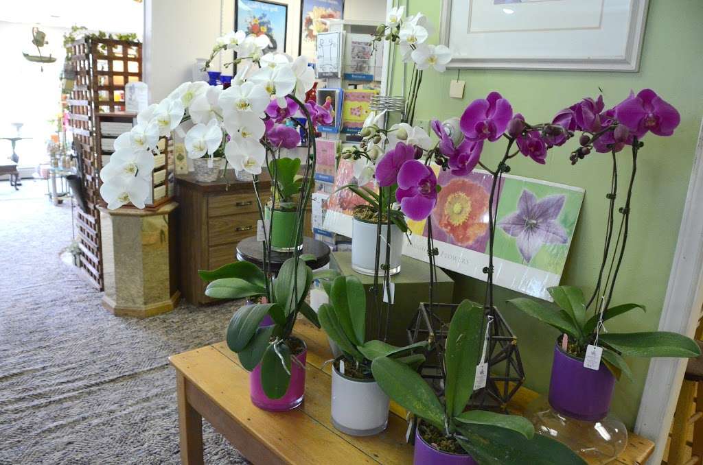 Mitchells Orland Park Flowers | 14309 Beacon Ave, Orland Park, IL 60462 | Phone: (708) 349-3451