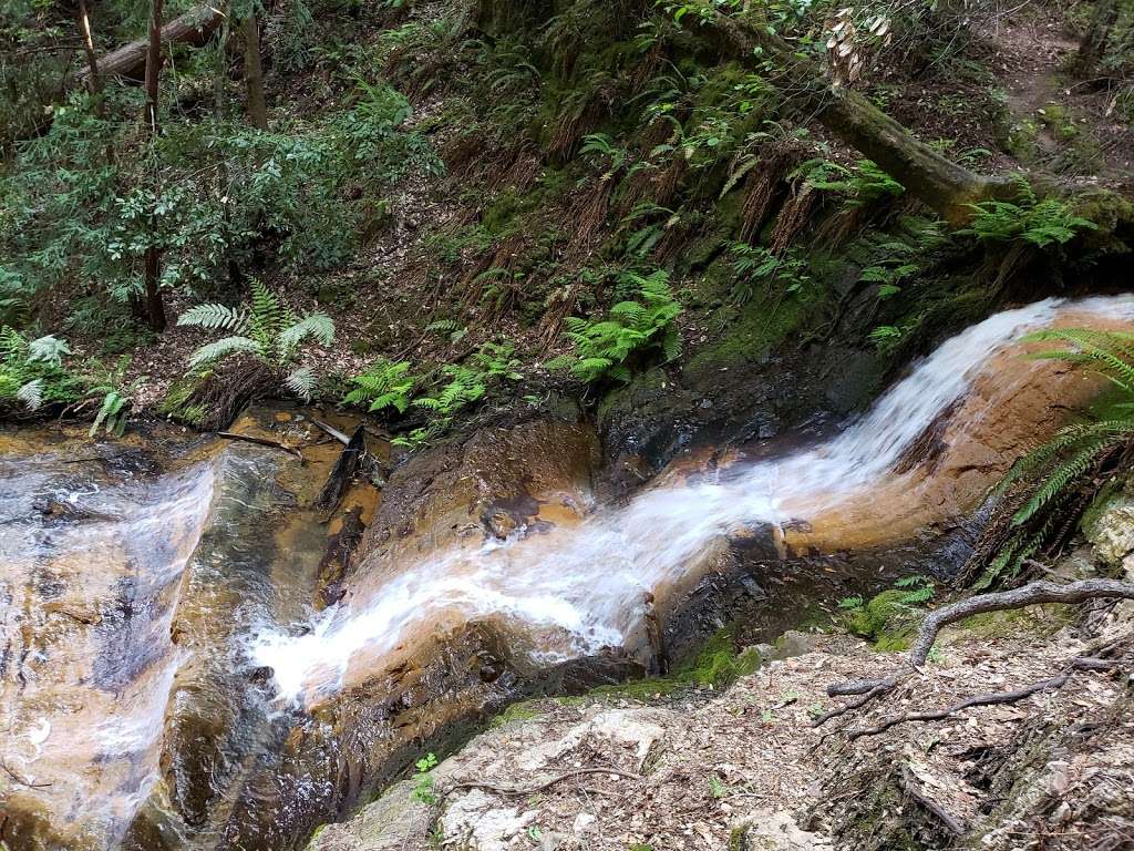 The Cascades | Santa Cruz County, CA 95017, USA