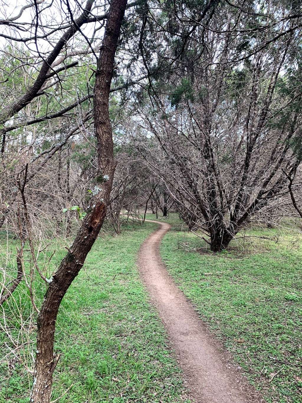 Bamberger Nature Park | 12401 Babcock Rd, San Antonio, TX 78249, USA | Phone: (210) 207-7275