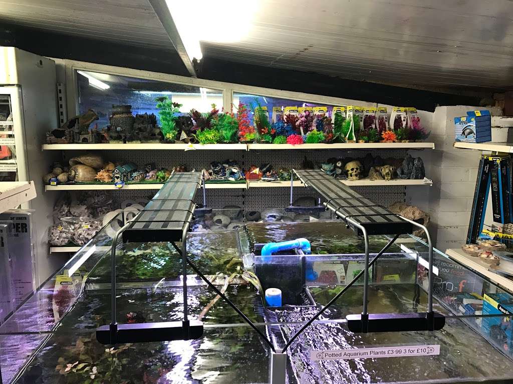 123 Aquatics | Approach Rd, Tatsfield, Westerham TN16 2JT, UK | Phone: 01959 576090