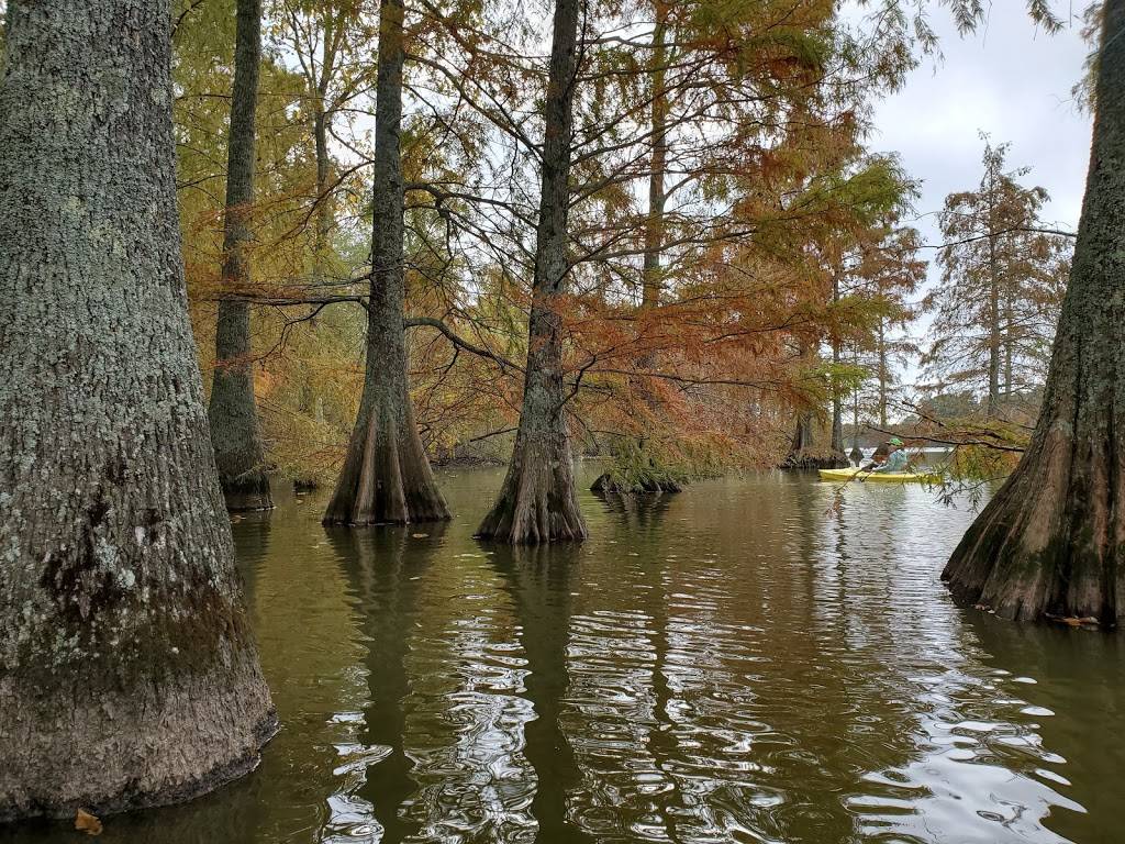 Stumpy Lake Natural Area | 4797 Indian River Rd, Virginia Beach, VA 23456, USA | Phone: (757) 385-1100