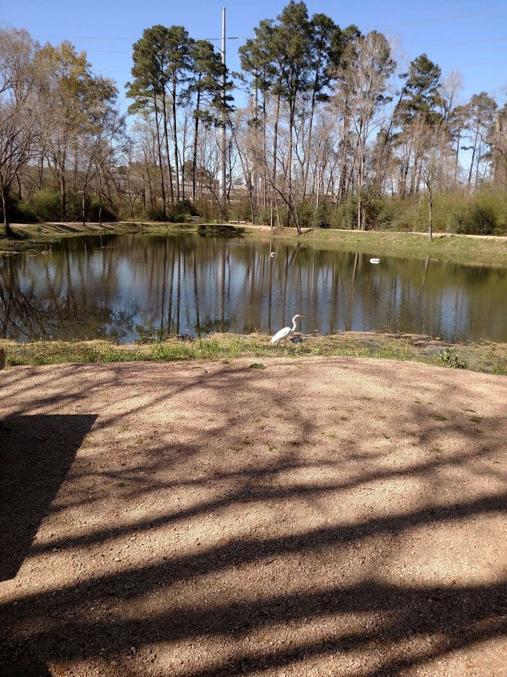 Dennis Johnston Park | 709 Riley Fuzzel Rd, Spring, TX 77373, USA | Phone: (281) 353-8100