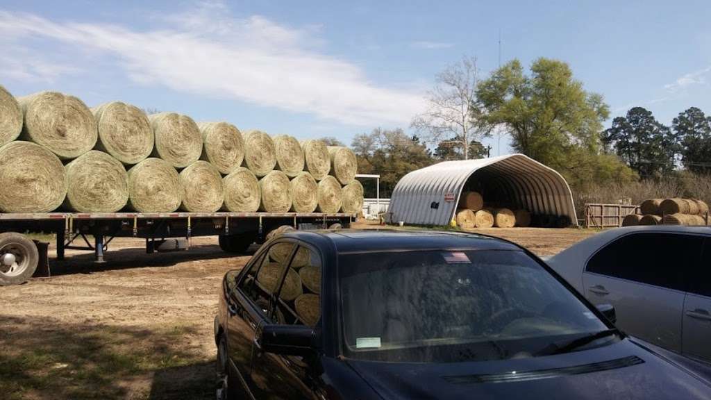 Odalys Hay & Feed Co. | 22380 TX-105, Cleveland, TX 77328, USA | Phone: (281) 592-0300