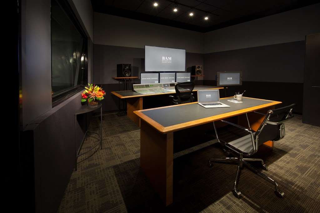 BAM Studios | 2558 W 16th St #555, Chicago, IL 60608, USA | Phone: (312) 255-8862