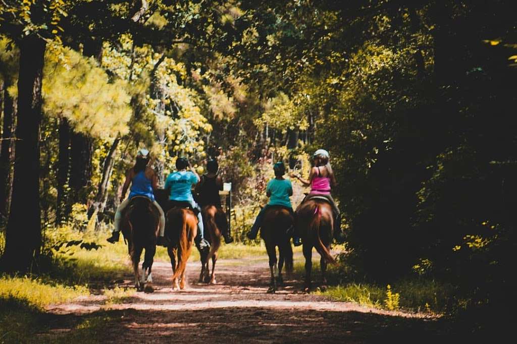 WG Jones State Forest Trail Head | Farm to Market Rd 1488, Conroe, TX 77384, USA