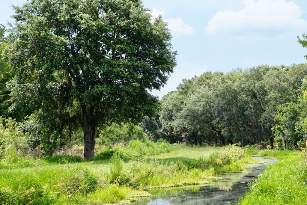 Sunnyhill Restoration Area North Trailhead | 10999 SE 182nd Avenue Rd, Ocklawaha, FL 32179, USA | Phone: (386) 329-4404