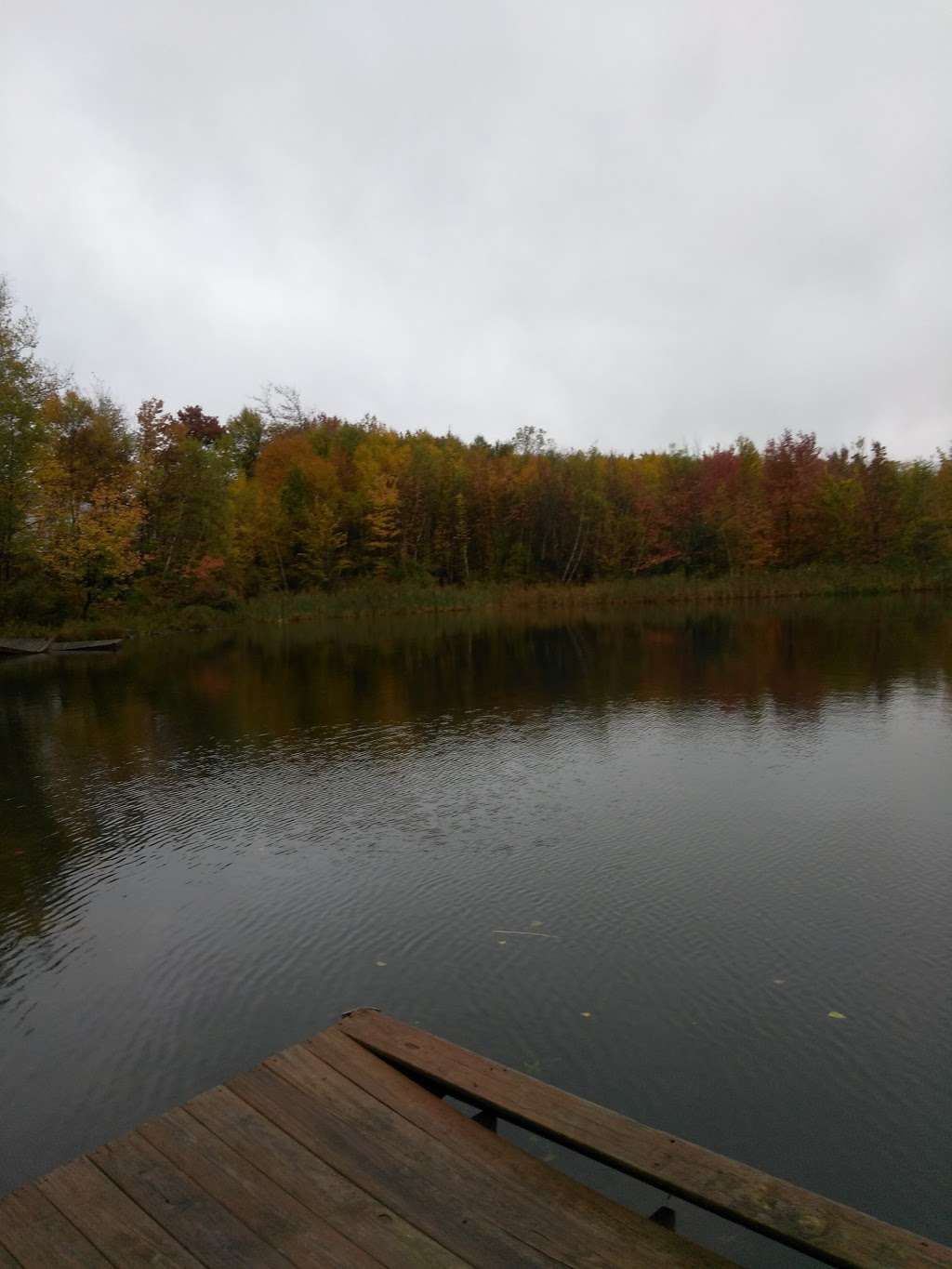 Pocono Pressure Cleaning | 3662 Exeter, Tobyhanna, PA 18466, USA | Phone: (570) 894-3331