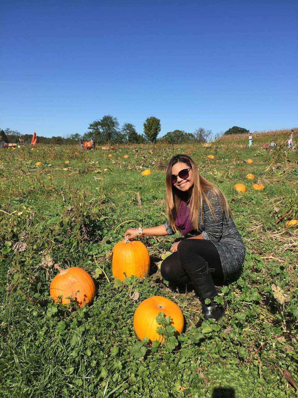 Barefoot Farm 6621 Bluebird Ln, Dover, PA 17315, USA BusinessYab