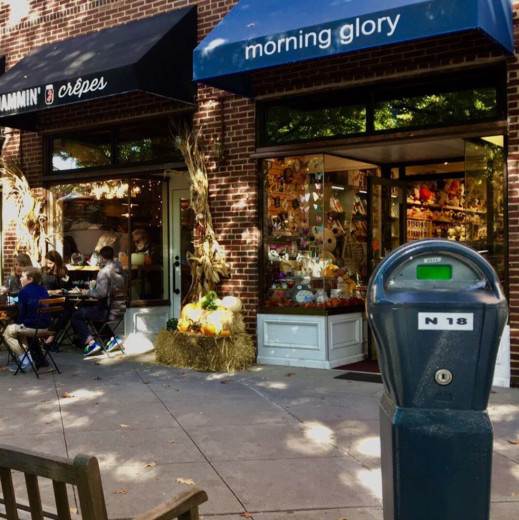 PRINCETON MORNING GLORY | 20 Nassau St, Princeton, NJ 08542 | Phone: (609) 924-4999