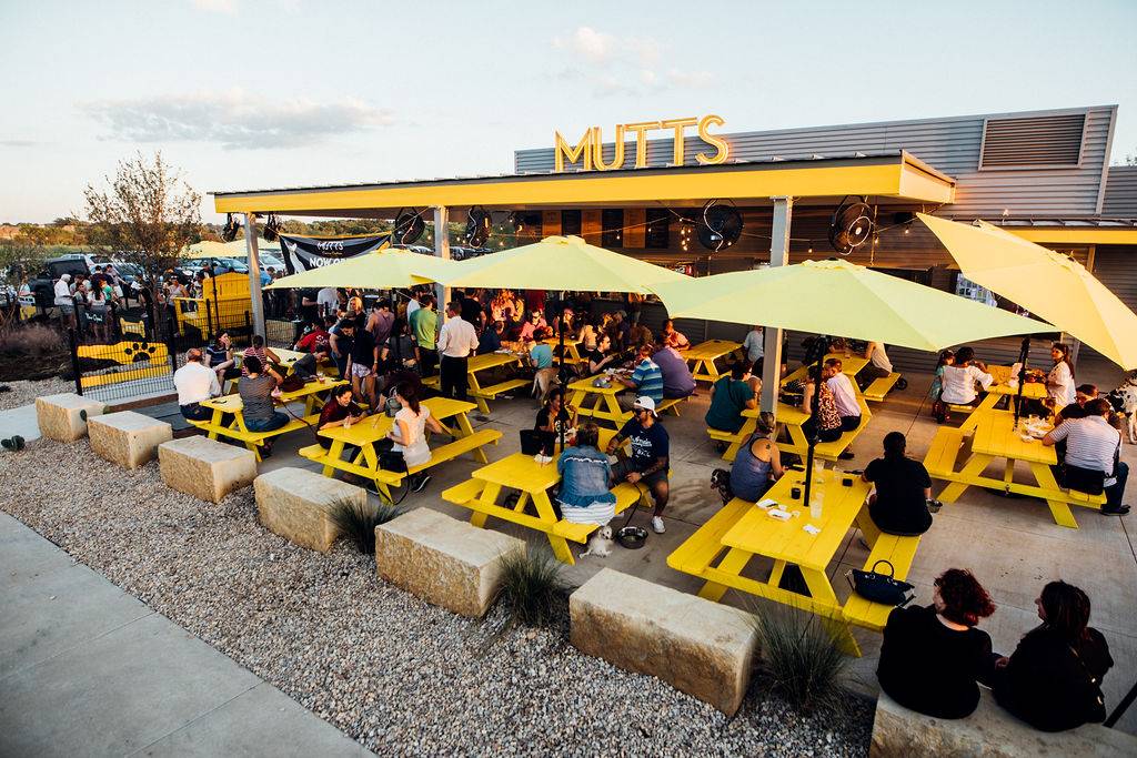 MUTTS Canine Cantina | 5317 Clearfork Main St, Fort Worth, TX 76109, USA | Phone: (817) 377-0151