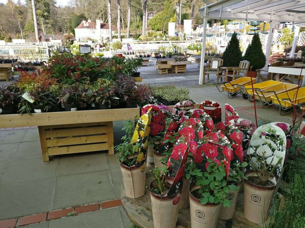 Knights Garden Centre | Woldingham Rd, Woldingham CR3 7LA, UK | Phone: 01883 653142