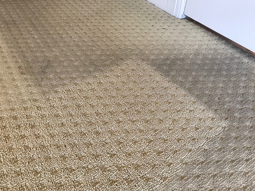 Zerorez Austin Carpet Cleaning | 1011 S Heatherwilde Blvd #230, Pflugerville, TX 78660, USA | Phone: (512) 842-4423