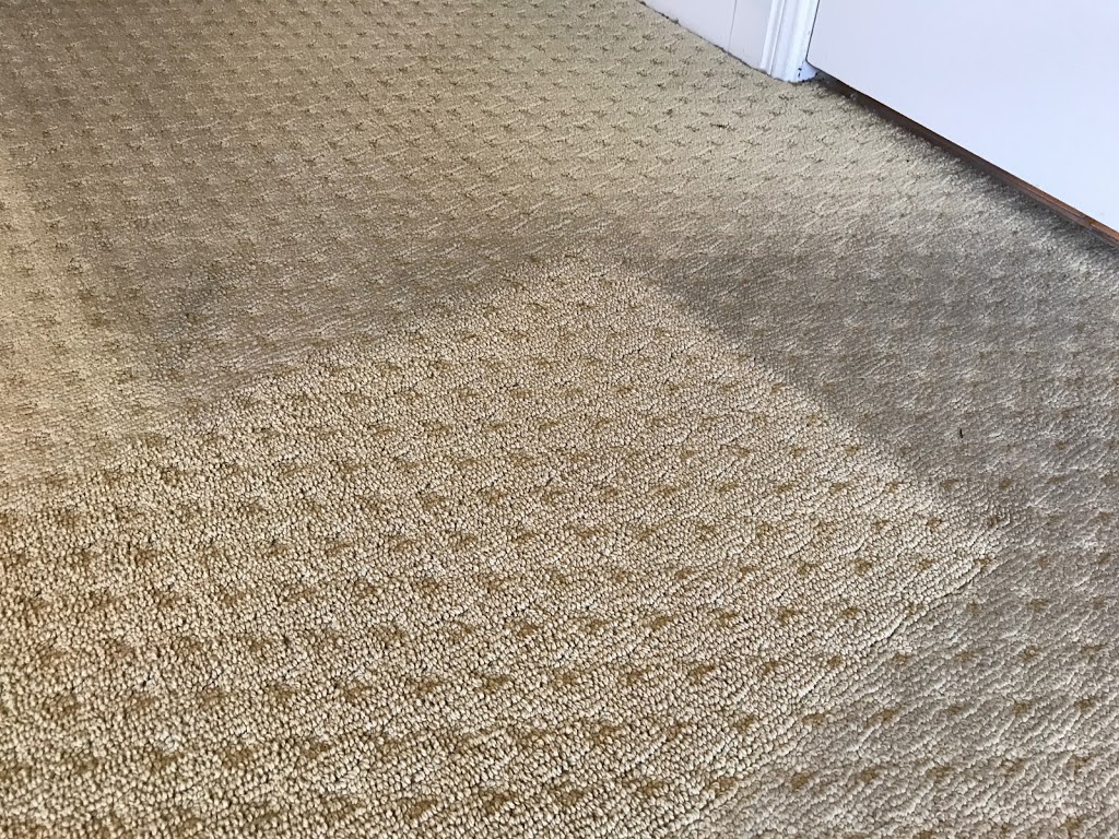 Zerorez Austin Carpet Cleaning | 1011 S Heatherwilde Blvd #230, Pflugerville, TX 78660 | Phone: (512) 842-4423