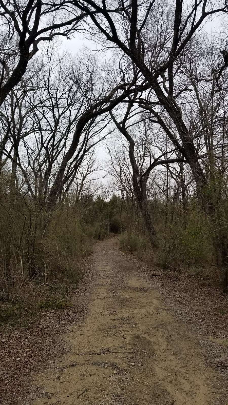 McCommas Bluff Preserve | Fairport Road, Dallas, TX 75217, USA | Phone: (214) 671-0234