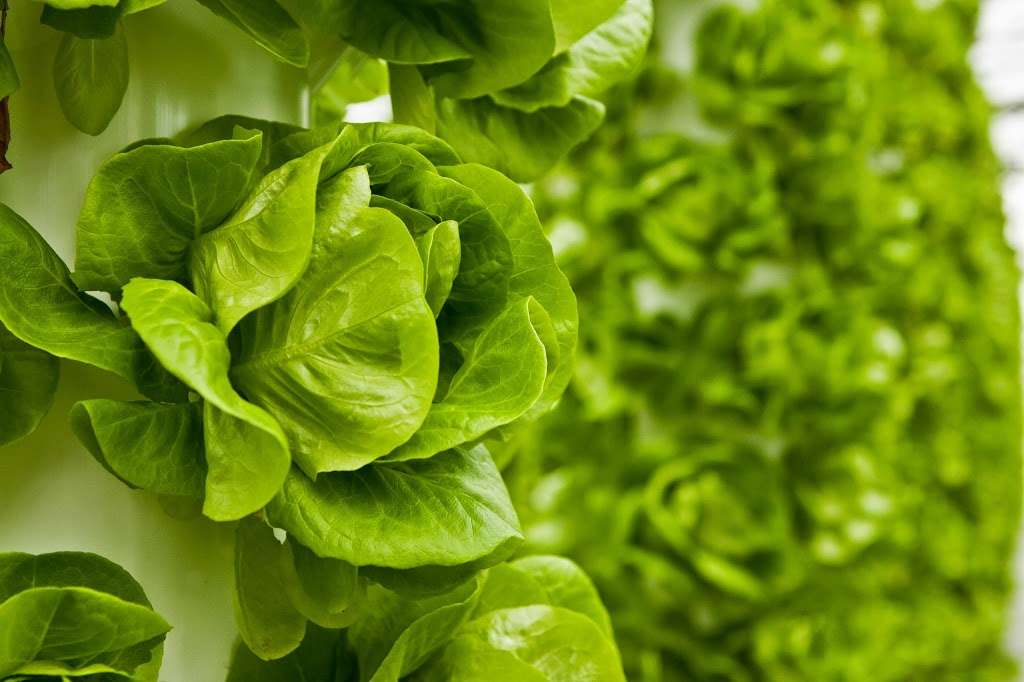 Aero Development Corp | 5541 Old Philadelphia Pike, Gap, PA 17527, USA | Phone: (717) 929-0144