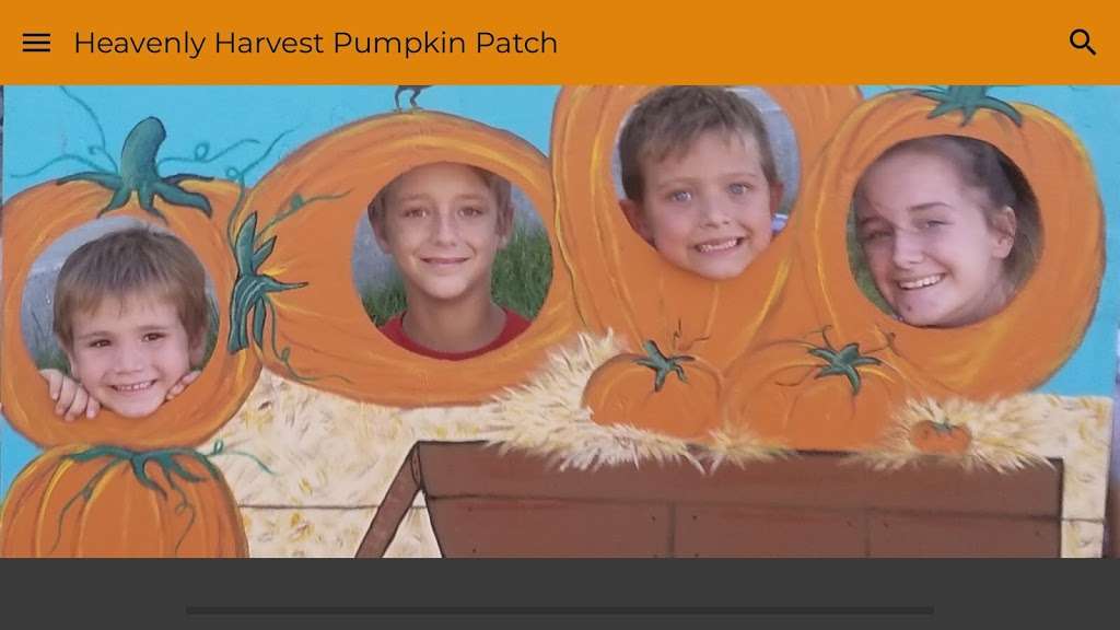 Heavenly Harvest Pumpkin Patch | 1168 Wood St, Taft, CA 93268, USA | Phone: (661) 747-3775