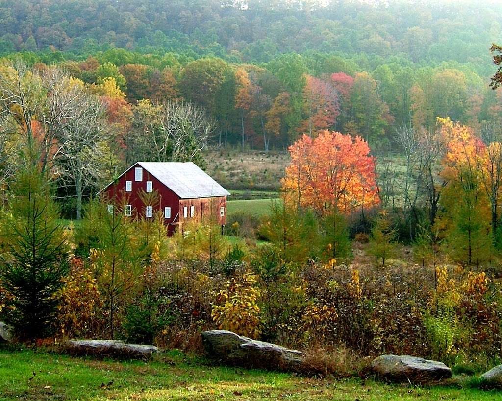 Granville Galleries | 7500 Creager Rd, Waynesboro, PA 17268, USA | Phone: (717) 759-0526