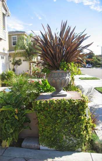 Mike Muscarella Landscaping | 713 Via Alcazar, Camarillo, CA 93010 | Phone: (805) 482-2998