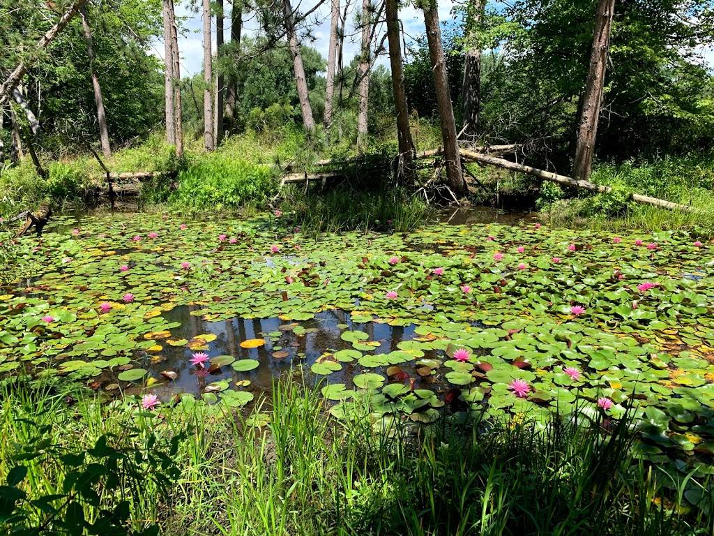 Reinstein Woods Nature Preserve | 93 Honorine Dr, Depew, NY 14043, USA | Phone: (716) 683-5959