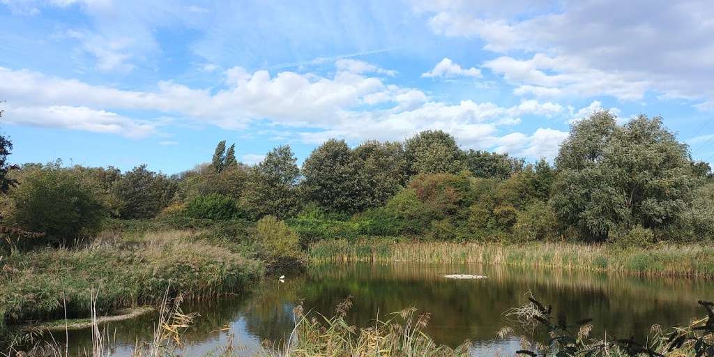 Filter Beds Nature Reserve | London Borough of Waltham Forest, London E10 7QB, UK | Phone: 020 8988 7566