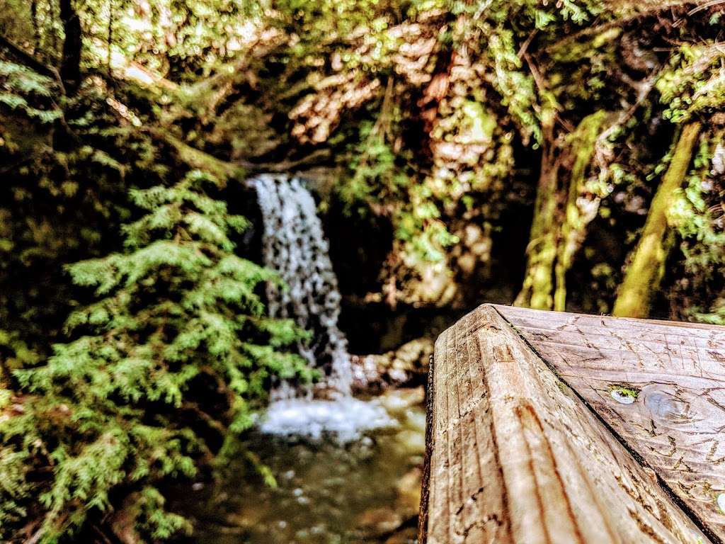Sempervirens Falls | Sempervirens Falls Trail, Boulder Creek, CA 95006
