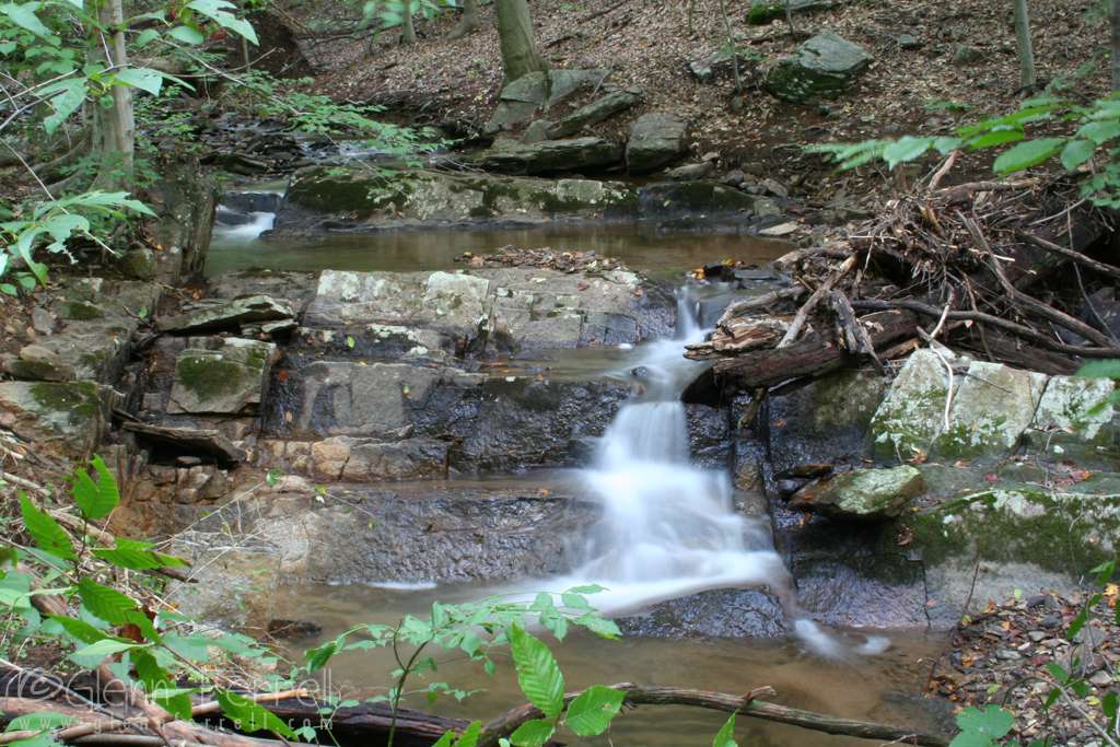 First State National Historical Park | Ramsey Run, Wilmington, DE 19803, USA