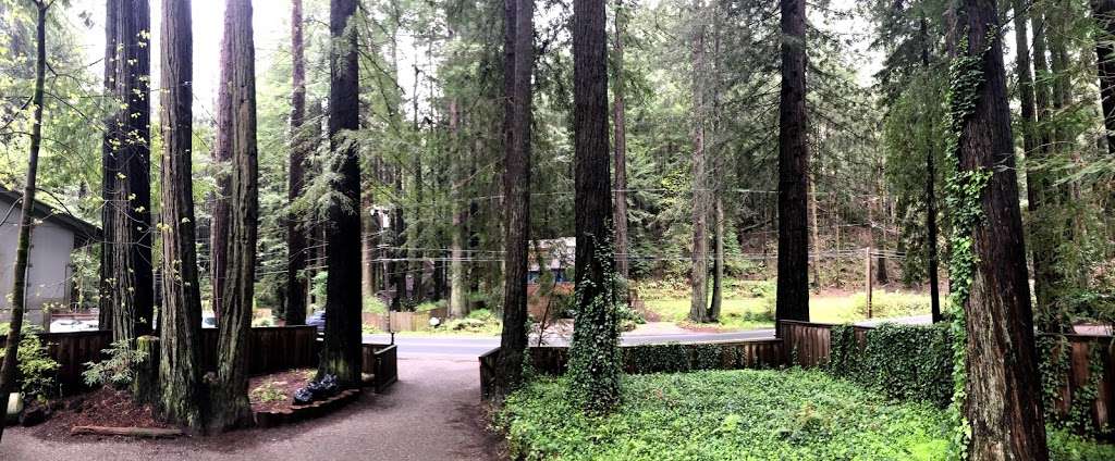 HearthSide Cabin | 2320 Cazadero Hwy, Cazadero, CA 95421, USA | Phone: (800) 997-3312