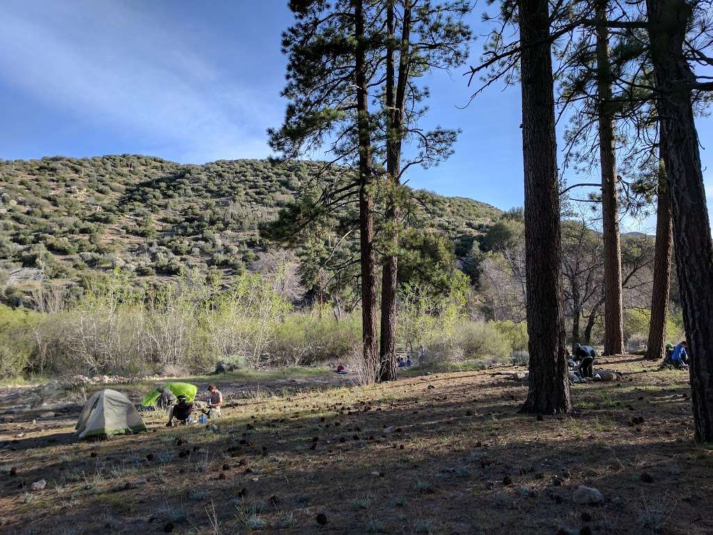 Holcomb Crossing Group Campground | Green Valley Lake, CA 92341, USA