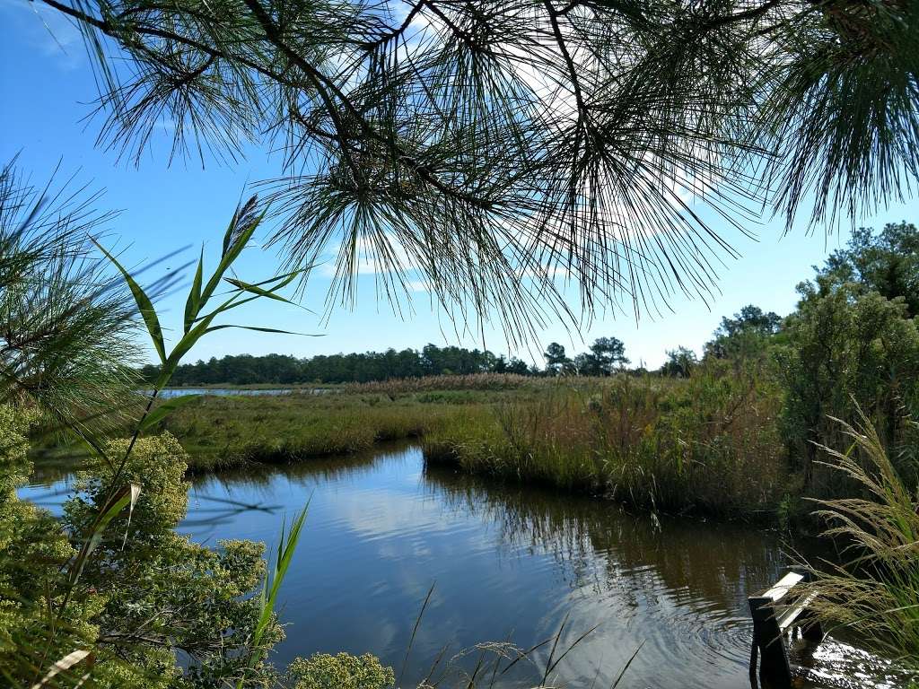 Gordon Pond Wildlife Area | Lewes, DE 19958 | Phone: (302) 645-8983