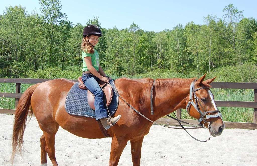 West Point FMWR Morgan Farm Riding Stables and Kennel | 2026 Morgan Farm Rd, Highland Falls, NY 10928, USA | Phone: (845) 938-3926