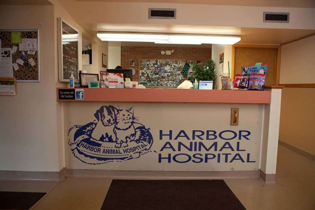 Harbor Animal Hospital | 1915 9th St, Winthrop Harbor, IL 60096, USA | Phone: (847) 746-1915