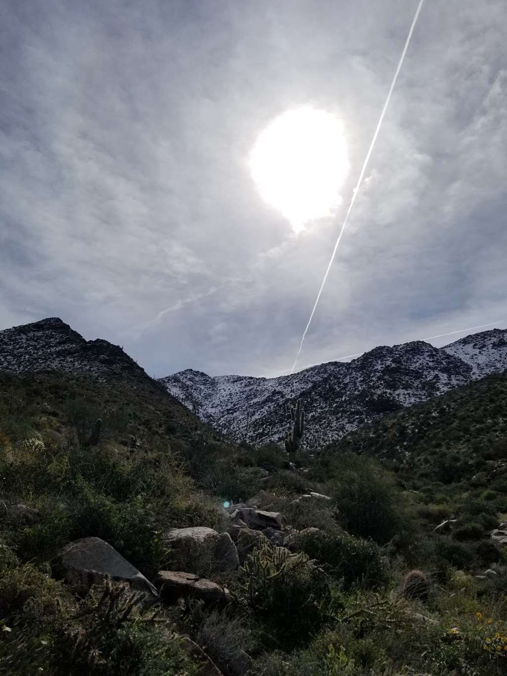 McDowell Sonoran Preserve | Windgate Pass Trail, Scottsdale, AZ 85255, USA